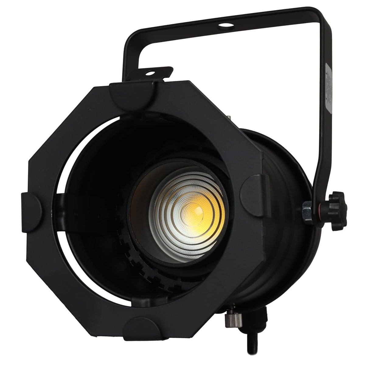 Odyssey LSPAR30B-ZOOM - Black Aluminum Par 30 Light Fixture with Adjustable LED Bulb.