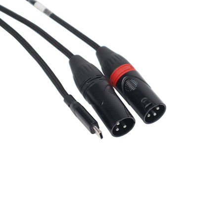 ProX 3FT USB-C to Dual XLR-M