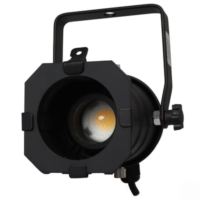 Odyssey LSPAR20B-ZOOM - Black Aluminum Par 20 Light Fixture with Adjustable LED Bulb.