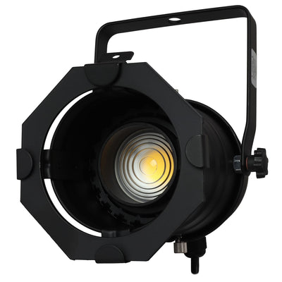 Odyssey LSPAR30B-ZOOM - Black Aluminum Par 30 Light Fixture with Adjustable LED Bulb.