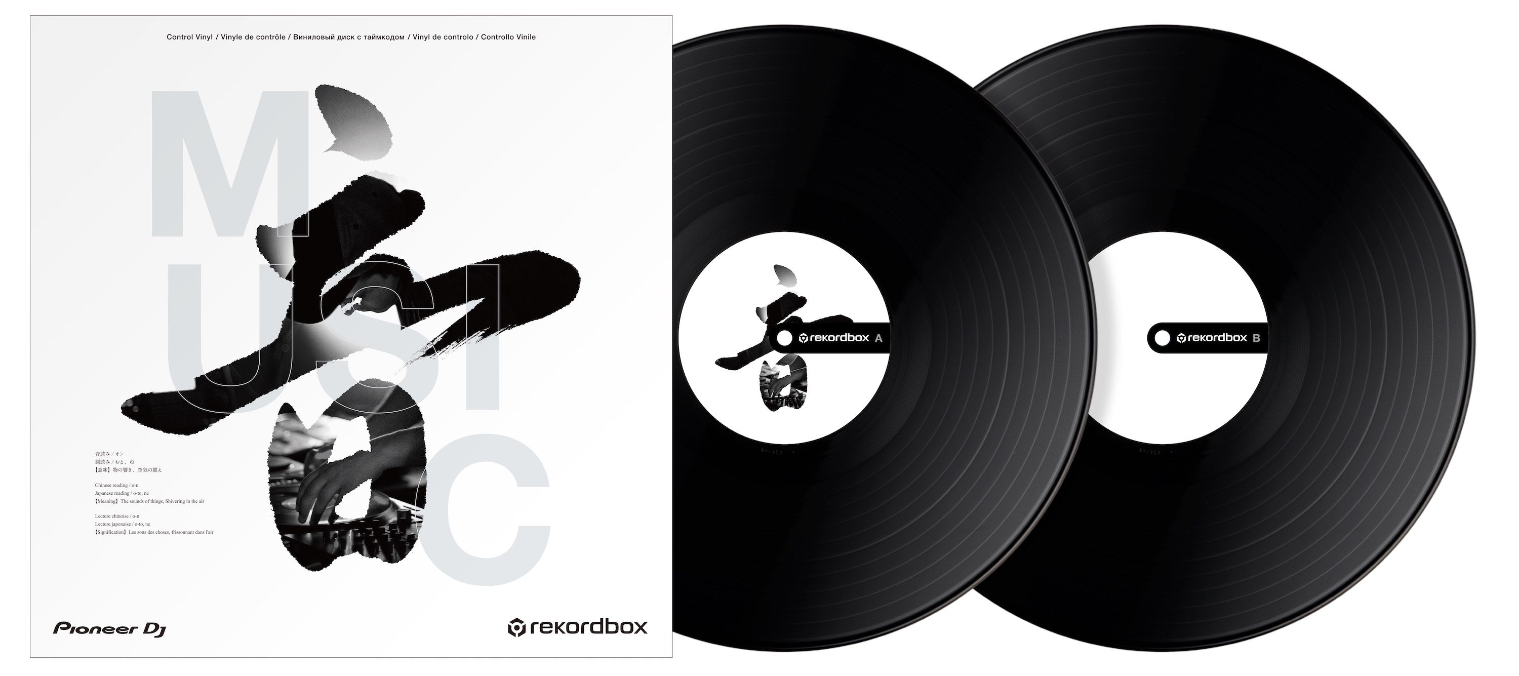 Pioneer DJ RB-VD2-K - rekordbox Control Vinyl (Set of 2) (Black)