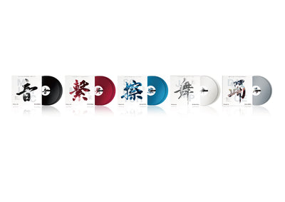 Pioneer DJ RB-VD2-CL - rekordbox Control Vinyl (Set of 2) (Transparent)