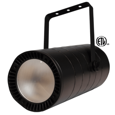 JMAZ PROFESSIONAL ZONA 5L - Zona 5L RGBA+LIME PAR LED House Light